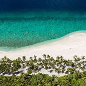 Preview wallpaper island, beach, ocean, aerial view, palm trees