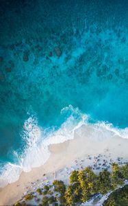 Preview wallpaper island, beach, palm trees, sea, aerial view