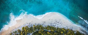 Preview wallpaper island, beach, palm trees, sea, aerial view