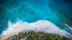 Preview wallpaper island, beach, palm trees, sea, aerial view