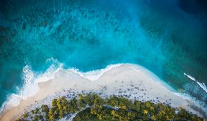 Preview wallpaper island, beach, palm trees, sea, aerial view