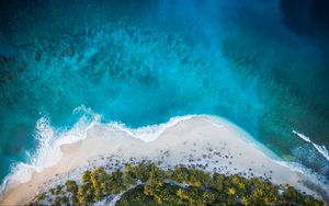 Preview wallpaper island, beach, palm trees, sea, aerial view