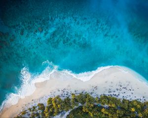 Preview wallpaper island, beach, palm trees, sea, aerial view