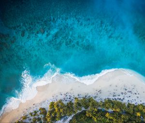 Preview wallpaper island, beach, palm trees, sea, aerial view