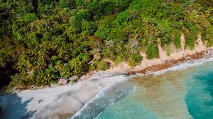Preview wallpaper island, beach, sea, tropics, aerial view