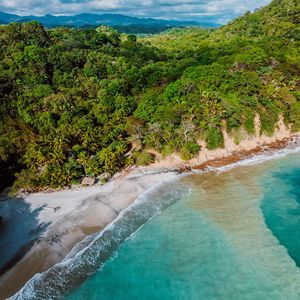 Preview wallpaper island, beach, sea, tropics, aerial view