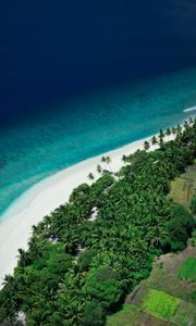 Preview wallpaper island, beach, sea, aerial view, summer, tropics