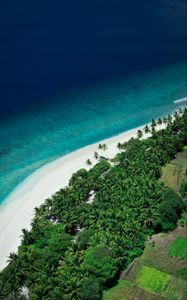 Preview wallpaper island, beach, sea, aerial view, summer, tropics