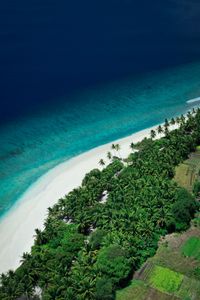 Preview wallpaper island, beach, sea, aerial view, summer, tropics