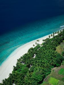 Preview wallpaper island, beach, sea, aerial view, summer, tropics