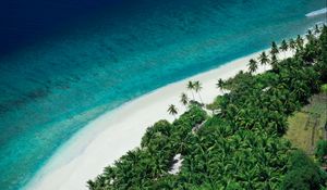 Preview wallpaper island, beach, sea, aerial view, summer, tropics