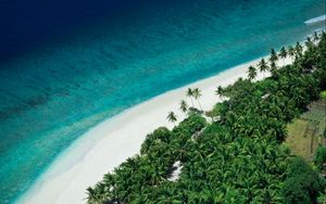 Preview wallpaper island, beach, sea, aerial view, summer, tropics