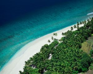 Preview wallpaper island, beach, sea, aerial view, summer, tropics
