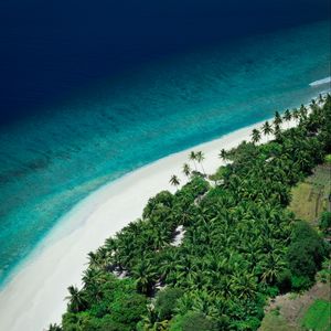 Preview wallpaper island, beach, sea, aerial view, summer, tropics