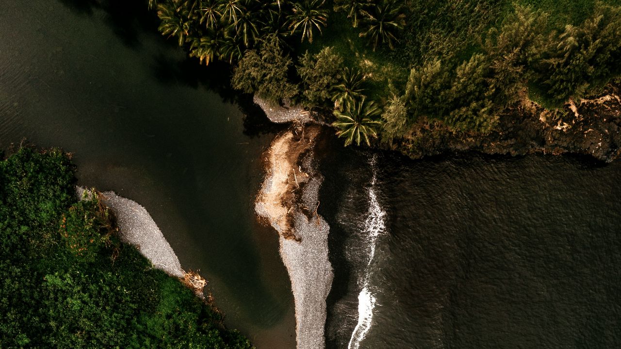 Wallpaper island, coast, aerial view, sea, trees