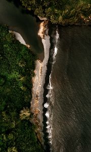 Preview wallpaper island, coast, aerial view, sea, trees
