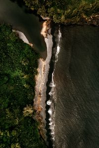 Preview wallpaper island, coast, aerial view, sea, trees