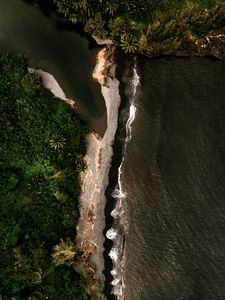 Preview wallpaper island, coast, aerial view, sea, trees