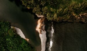 Preview wallpaper island, coast, aerial view, sea, trees