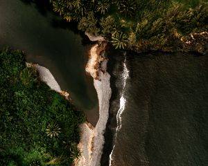 Preview wallpaper island, coast, aerial view, sea, trees