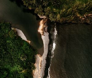 Preview wallpaper island, coast, aerial view, sea, trees