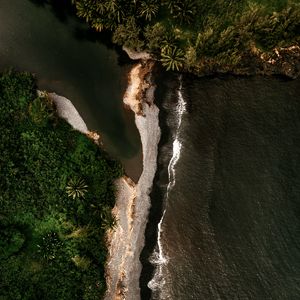 Preview wallpaper island, coast, aerial view, sea, trees