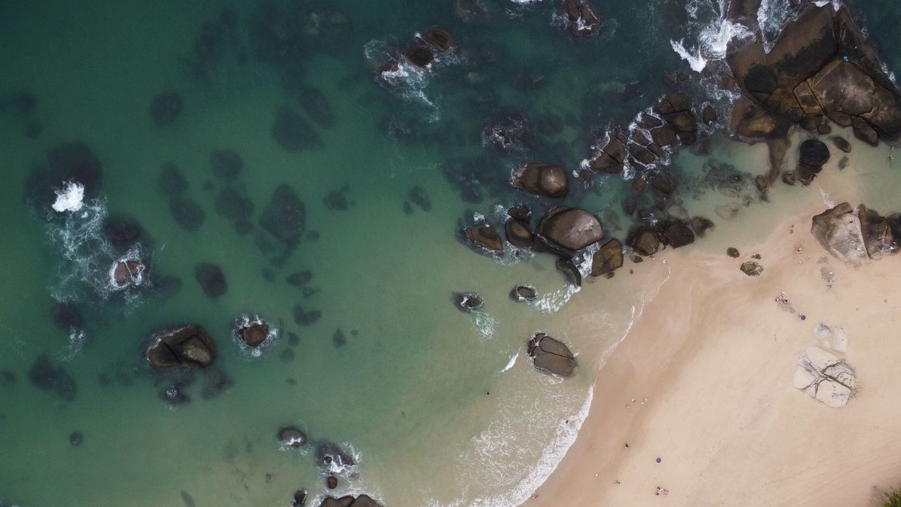 Wallpaper island, coast, aerial view, sea, palm