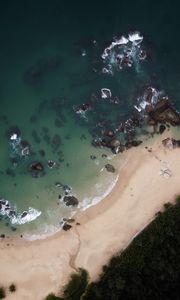 Preview wallpaper island, coast, aerial view, sea, palm