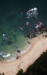 Preview wallpaper island, coast, aerial view, sea, palm