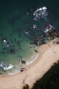 Preview wallpaper island, coast, aerial view, sea, palm