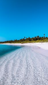 Preview wallpaper island, coast, beach, palm, maldives