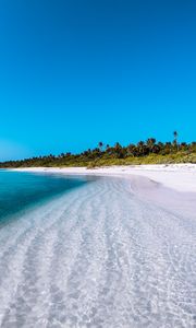 Preview wallpaper island, coast, beach, palm, maldives