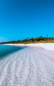 Preview wallpaper island, coast, beach, palm, maldives