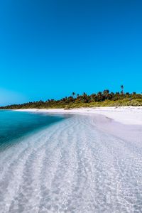 Preview wallpaper island, coast, beach, palm, maldives