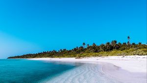 Preview wallpaper island, coast, beach, palm, maldives