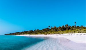 Preview wallpaper island, coast, beach, palm, maldives