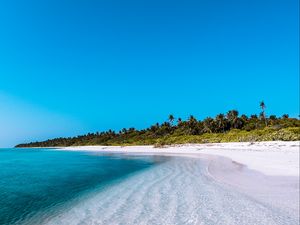 Preview wallpaper island, coast, beach, palm, maldives