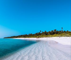 Preview wallpaper island, coast, beach, palm, maldives