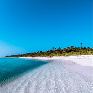 Preview wallpaper island, coast, beach, palm, maldives