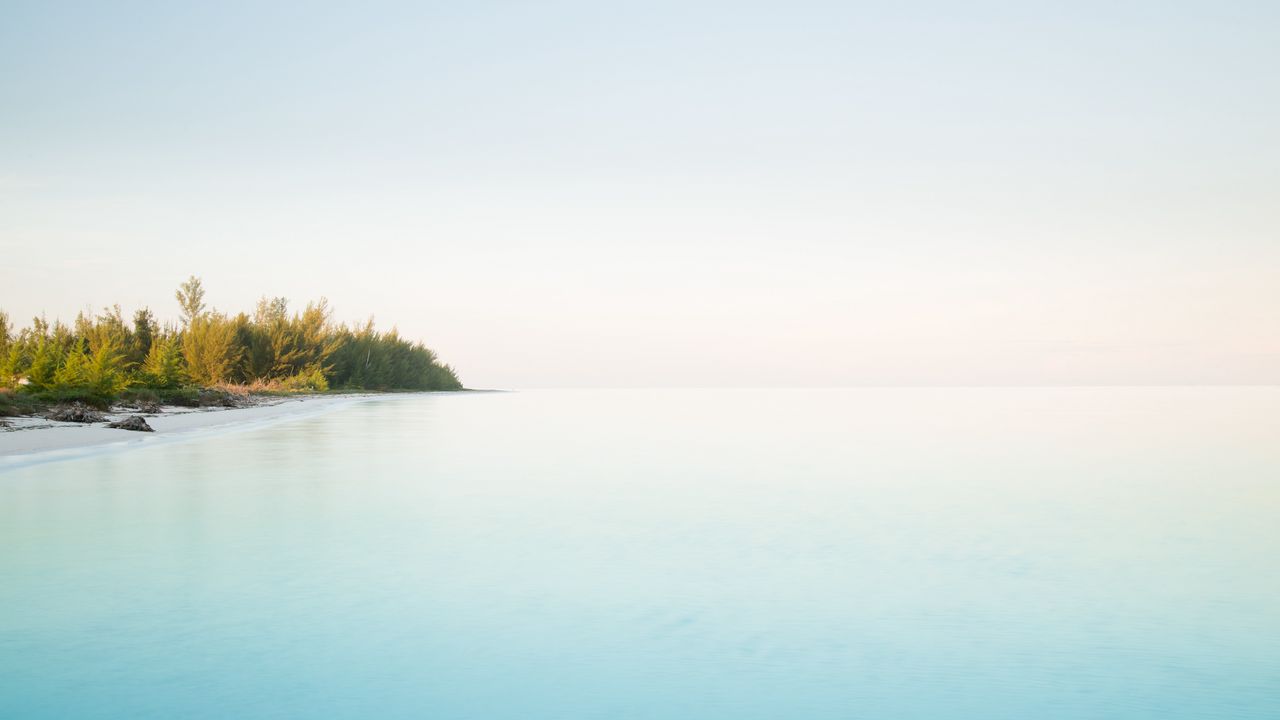 Wallpaper island, coast, bushes, ocean, nature