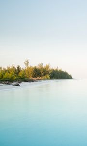 Preview wallpaper island, coast, bushes, ocean, nature