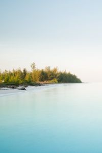 Preview wallpaper island, coast, bushes, ocean, nature