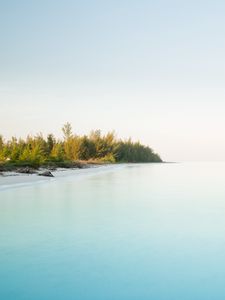 Preview wallpaper island, coast, bushes, ocean, nature