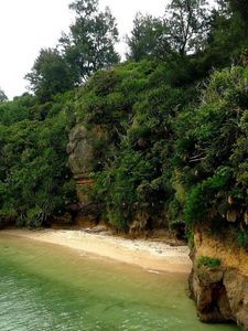 Preview wallpaper island, coast, mountains, vegetation, equator