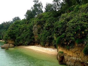 Preview wallpaper island, coast, mountains, vegetation, equator