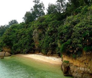 Preview wallpaper island, coast, mountains, vegetation, equator