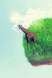 Preview wallpaper island, grass, giraffe, animal, imagination