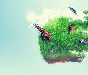 Preview wallpaper island, grass, giraffe, animal, imagination