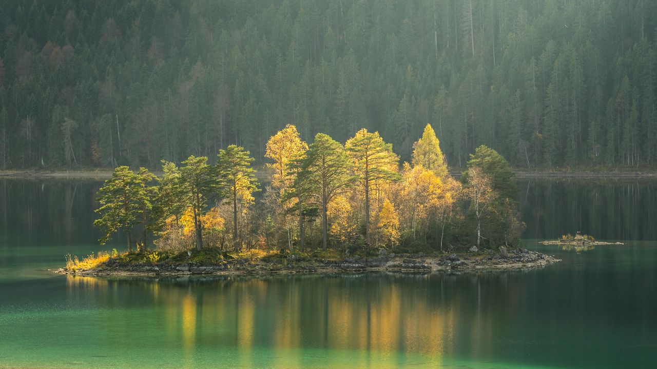 Wallpaper island, lake, trees, fog