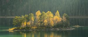 Preview wallpaper island, lake, trees, fog